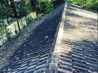 roof-restoration